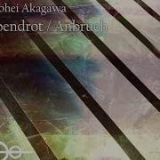 Abendrot Mix