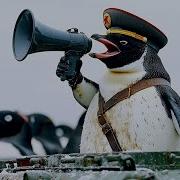 Democratic Penguins Republic