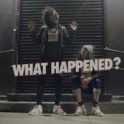 Les Twins What Happened