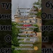 Сингиллар Хакида Кушик