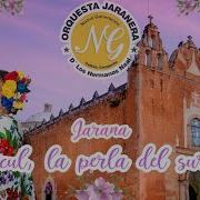 Orquesta Nueva Generación Contigo Aprendí