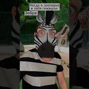 Julia Fun Дельфин