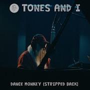 Tones And I Dance Monkey Stripped Back Acoustic Version