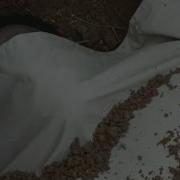 The Walking Dead Tyreese Death