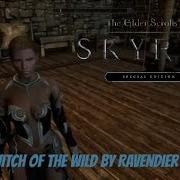 Skyrim Mod Of The Day Witch Of The Wild