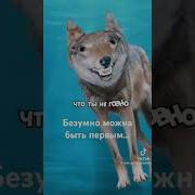 Мемы С Безумно Можно Быть Первым
