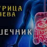 Матрица Гаря Евп