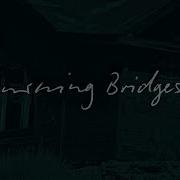 Burning Bridges Steers