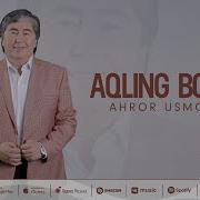 Aqling Bolsa