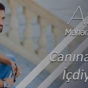 Asif Meherremov Canina And Icdiyim