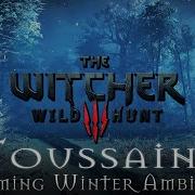 The Witcher Winter