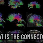 The Brain Maps