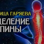 Матрица Гаряева Сила Позвоночника Квантовое Исцеление Звуком Оздоравливающая Медитация