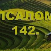 Псалом 142 На Русском