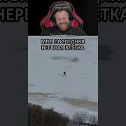 Клетка Meme