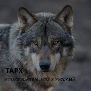 Тарх Я Горжусь Тем Что Я Русский