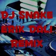 Remix Erik Dalı