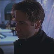 Good Looking Man Mulder