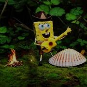 Boi What Dear Magic Conch Shell