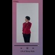 Stray Kids Call