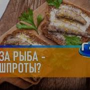 Что За Рыба