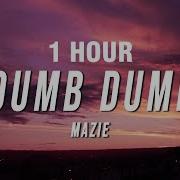 Everyone Is Dump 1 Hour
