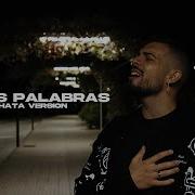 Falsas Palabras Bachata Remix
