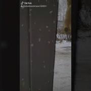 Джавит Снежок Пошла