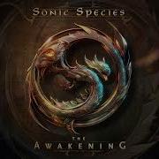 Consciousness Sonic Species Remix