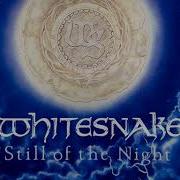 Whitesnake Instrumental