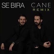 Se Bra Cane Remix