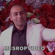 Arman Hovhannisyan Luiza Liana