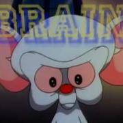 Pinky And The Brain Theme Instrumental Up