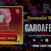 Garoafe Roșii