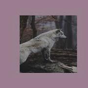 Selena Gonez Wolves Slowed