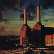 Pink Floyd Animas