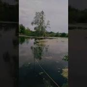 Песня Как Люблю Ребята Я Рыбалку