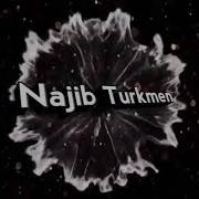محیب الله دالی سسنده Najib Türkmen