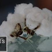 Cotton