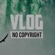 Niya A Bloom Vlog No Copyright Music