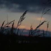 Sound Effect Wind