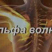 Медитация И Альфа Волны Музыка