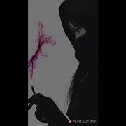 Stml I Like To Smoke