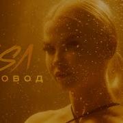 Rasa Ты Пчела Я Пчеловод