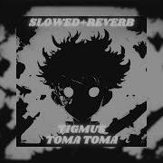 Tigmus Toma Toma Brazilian Phonk Slowed