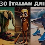 Italian Brainrot Animals Compilation