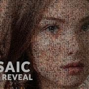 Mosaic Puzzle Photo Reveal Videohive After Effects Templates