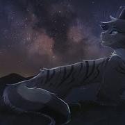 Nothing Left To Say Jayfeather