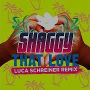 Shaggy That Love Luca Schreiner Remix Audio