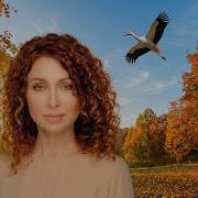 Ой Лелеко Лелеко